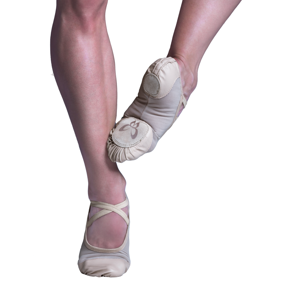 3 dicas para escolher a melhor sapatilha de ballet meia ponta - Evidence  Ballet - Loja Virtual